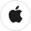 Apple icon
