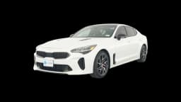 Stinger (2023)
