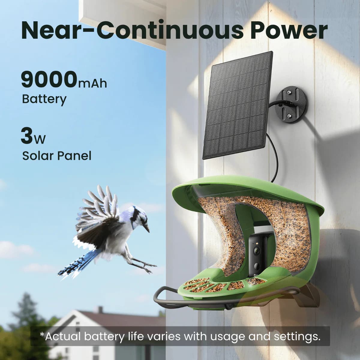 Birdfy Feeder 2