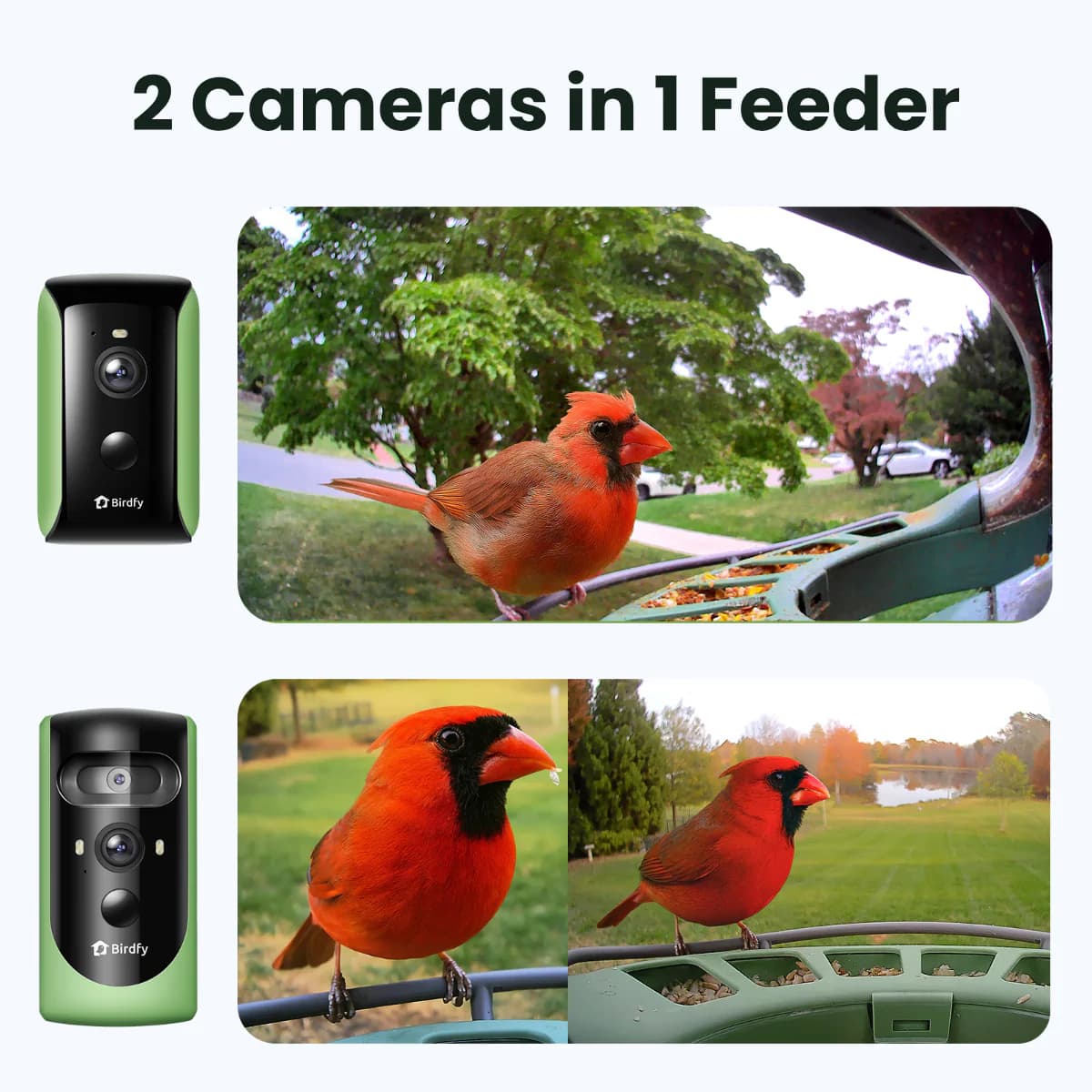 Birdfy Feeder 2