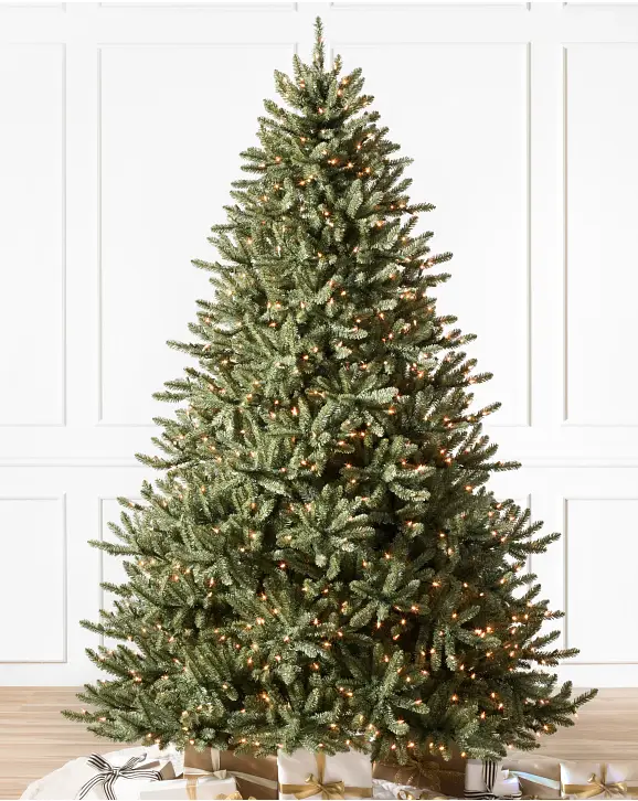 Balsam Hill Classic Blue Spruce