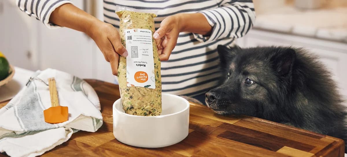 The Farmer's Dog Fresh Dog Food