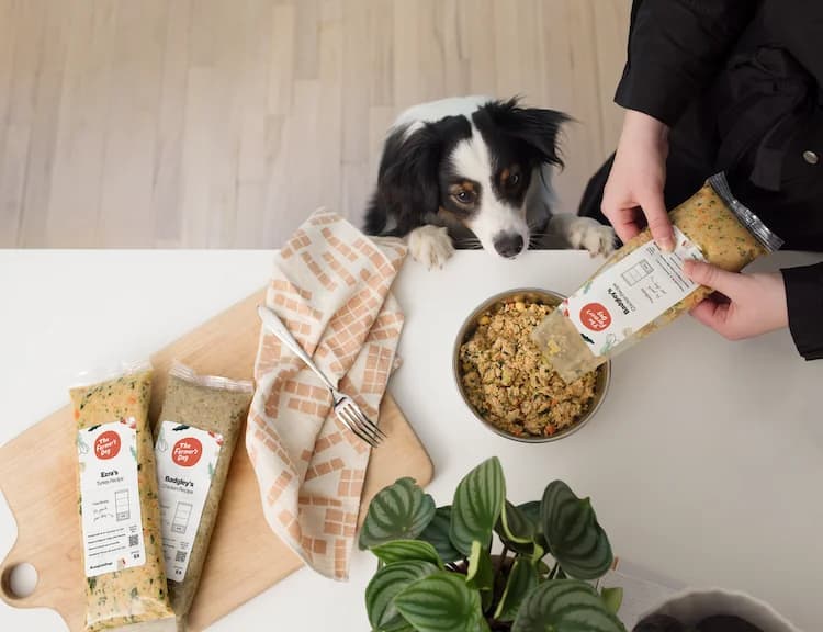The Farmer's Dog Fresh Dog Food