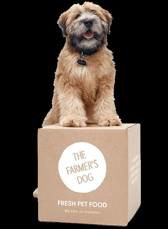 Fresh Dog Food