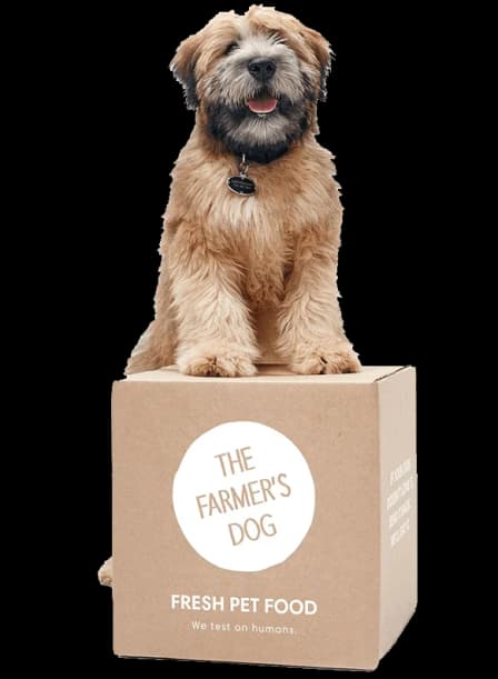 The Farmer's Dog Fresh Dog Food