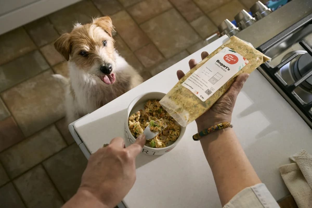 The Farmer's Dog Fresh Dog Food