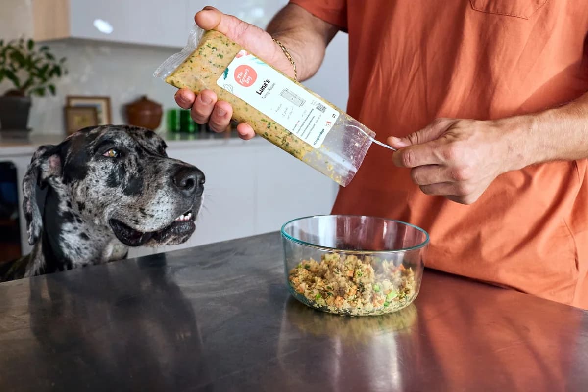 The Farmer's Dog Fresh Dog Food
