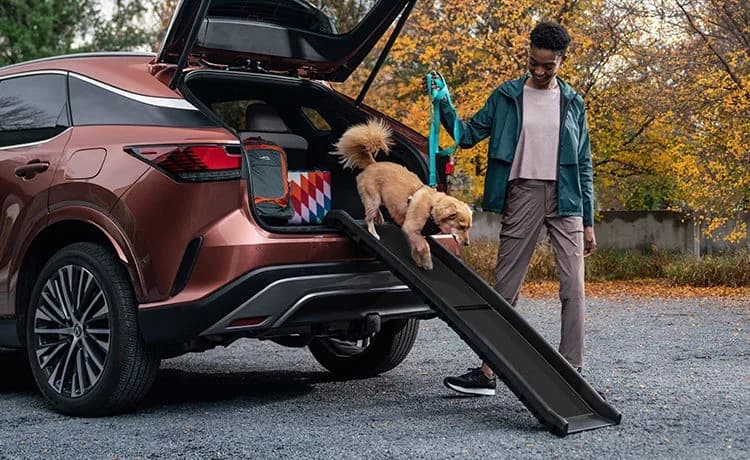 Lexus RX (2026)