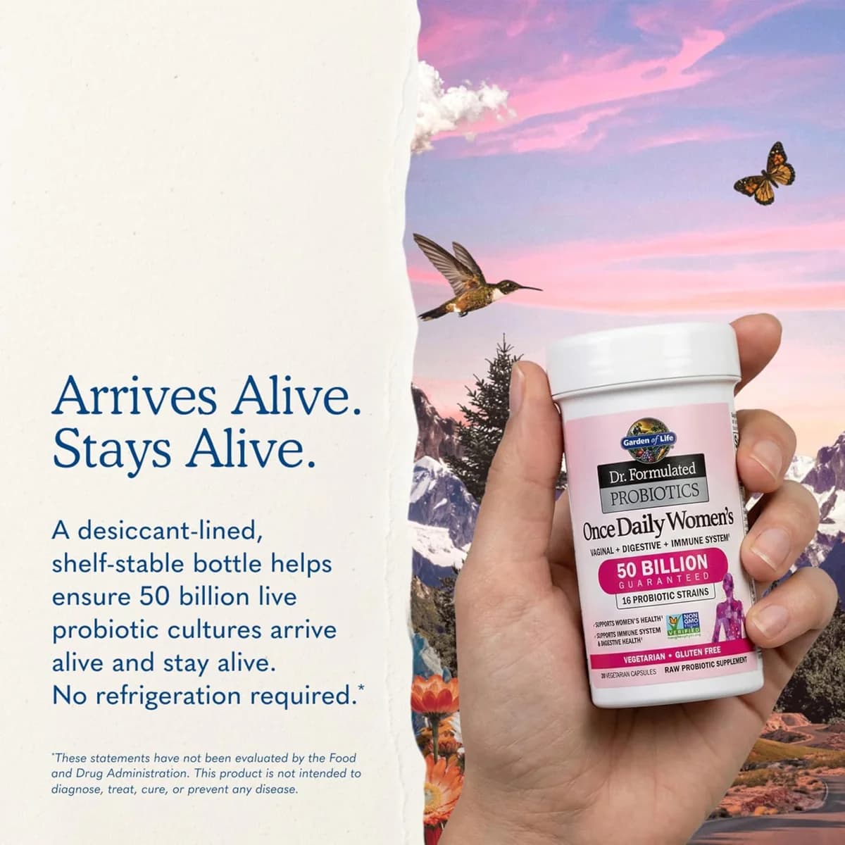 Garden of Life Dr. Formulated Probiotics Once Daily Women's