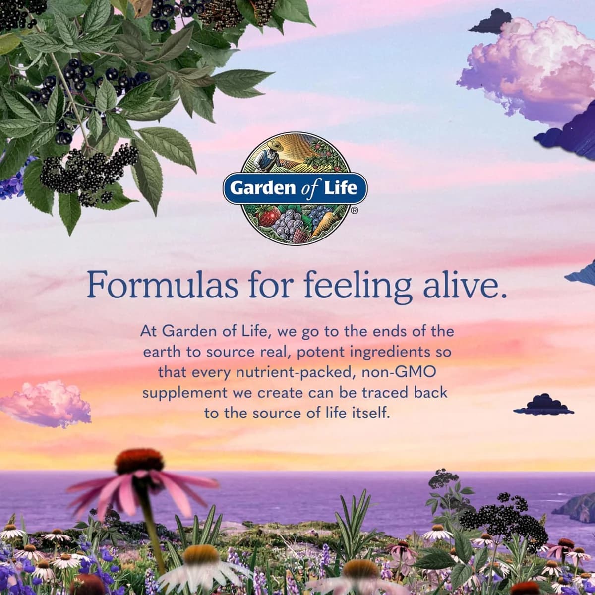 Garden of Life Dr. Formulated Probiotics Once Daily Women's