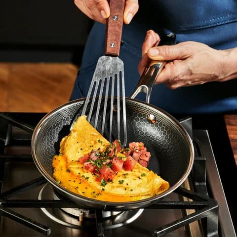 HexClad Hybrid Fry Pan