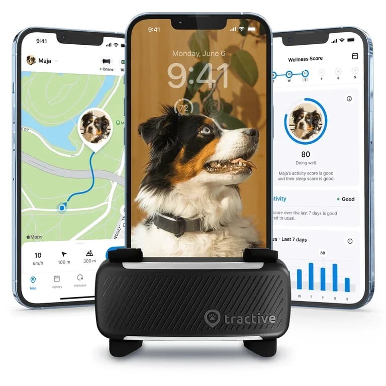 Tractive DOG 6 GPS Tracker