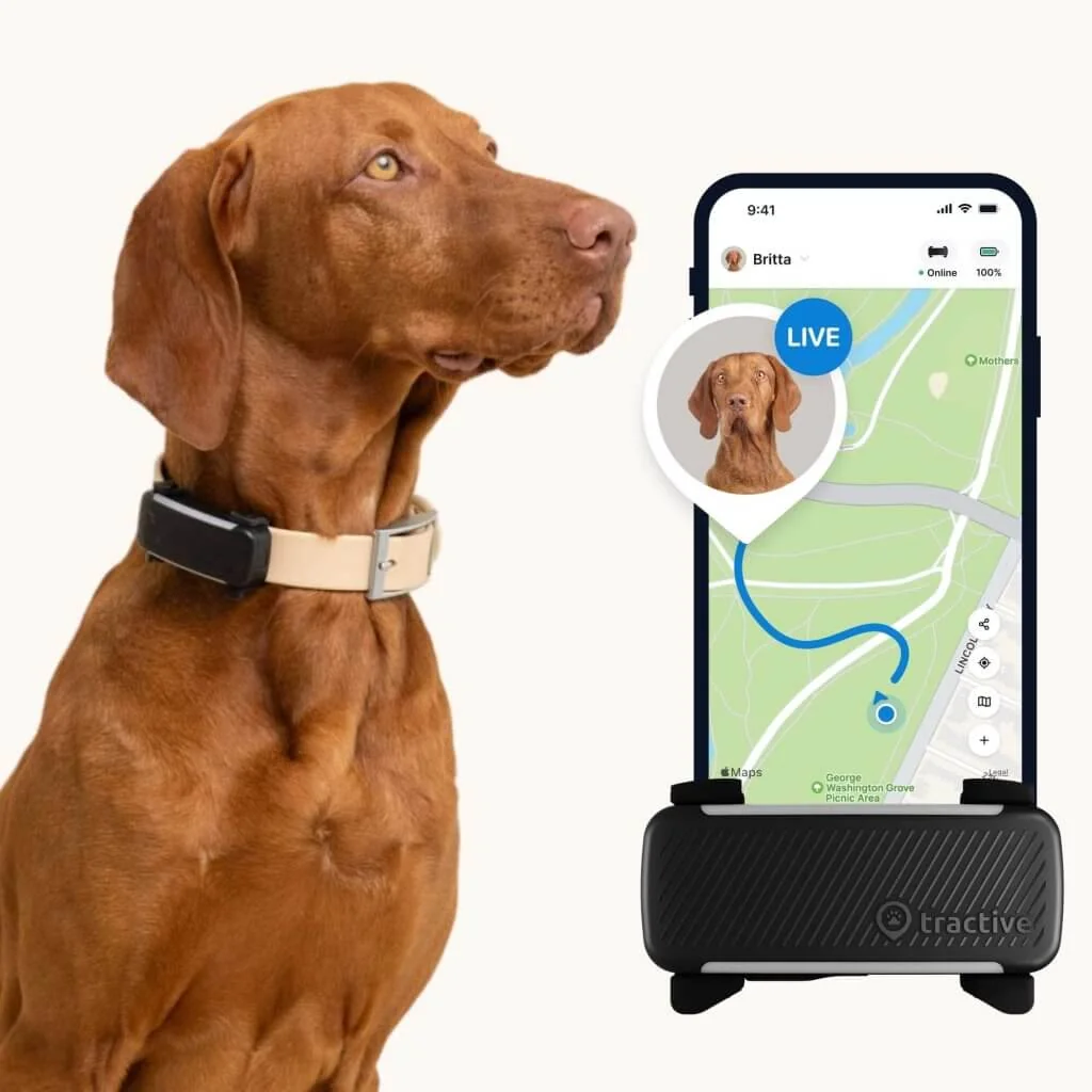 Tractive DOG 6 GPS Tracker