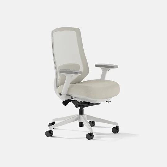 Branch Ergonomic Chair Pro