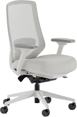 Ergonomic Chair Pro