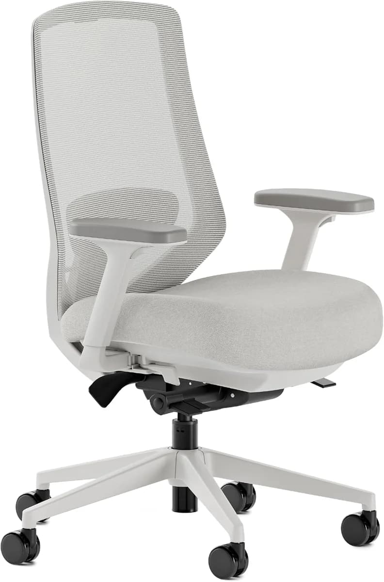 Ergonomic Chair Pro