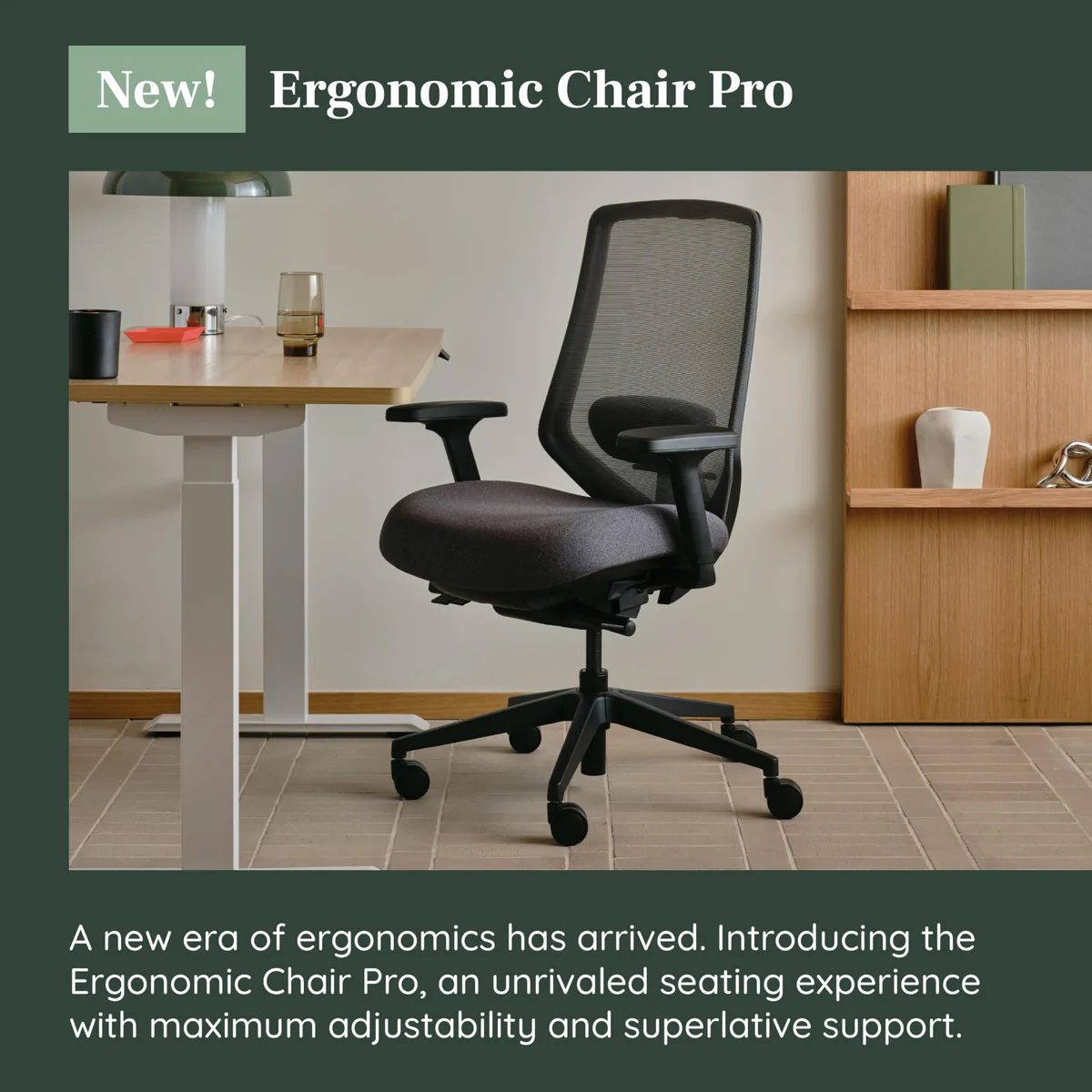 Branch Ergonomic Chair Pro