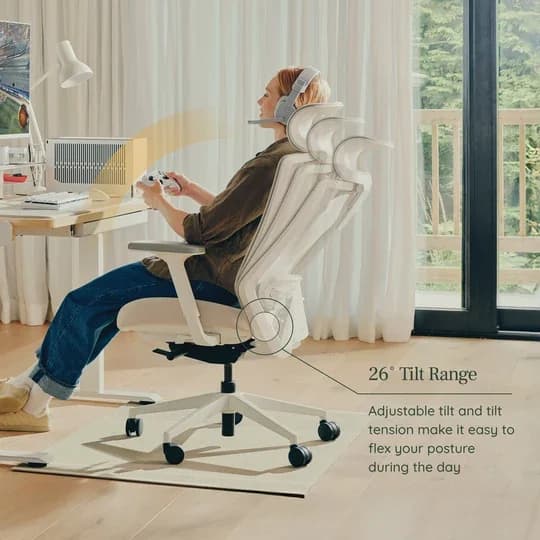 Branch Ergonomic Chair Pro