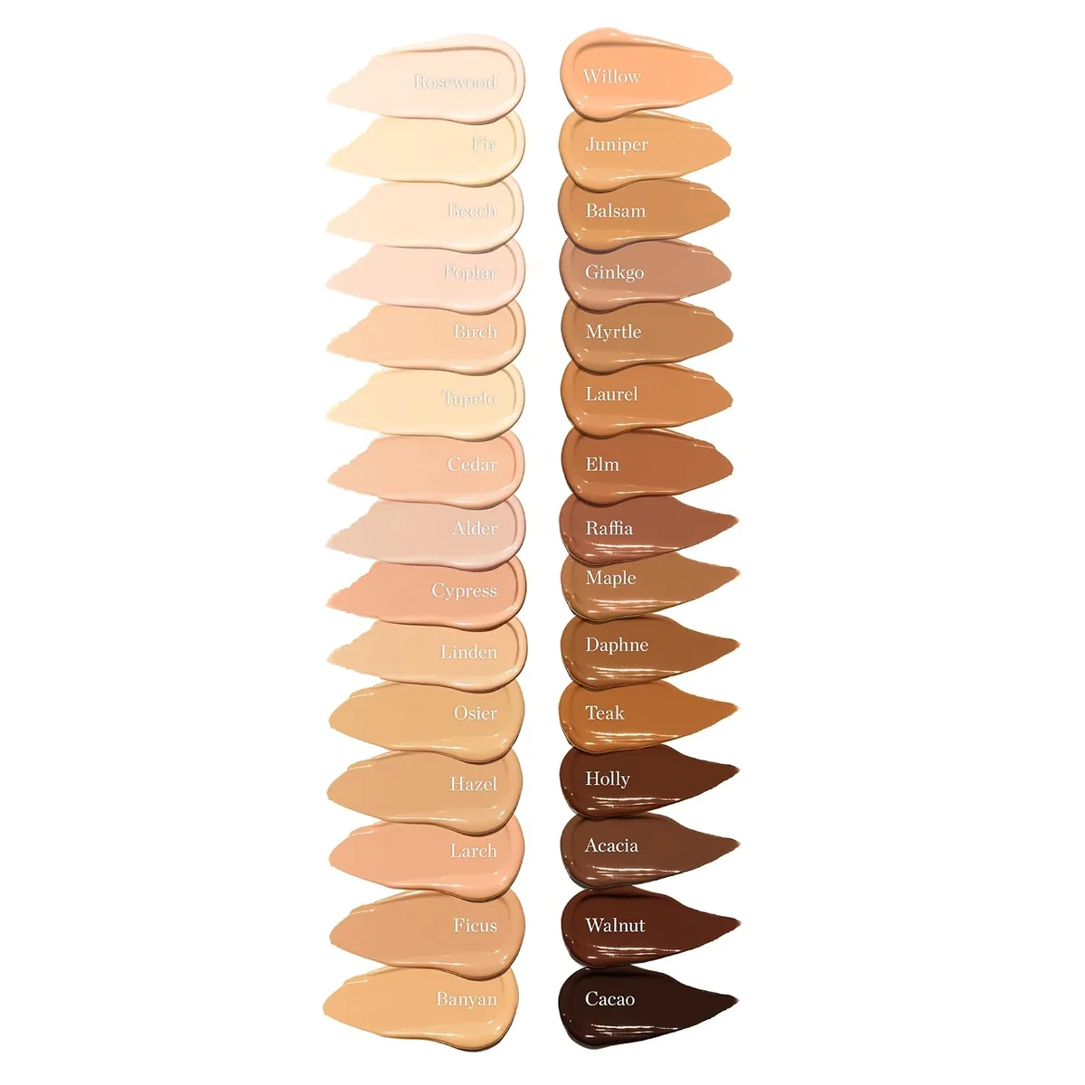 OGEE Complexion Perfecting Concealer