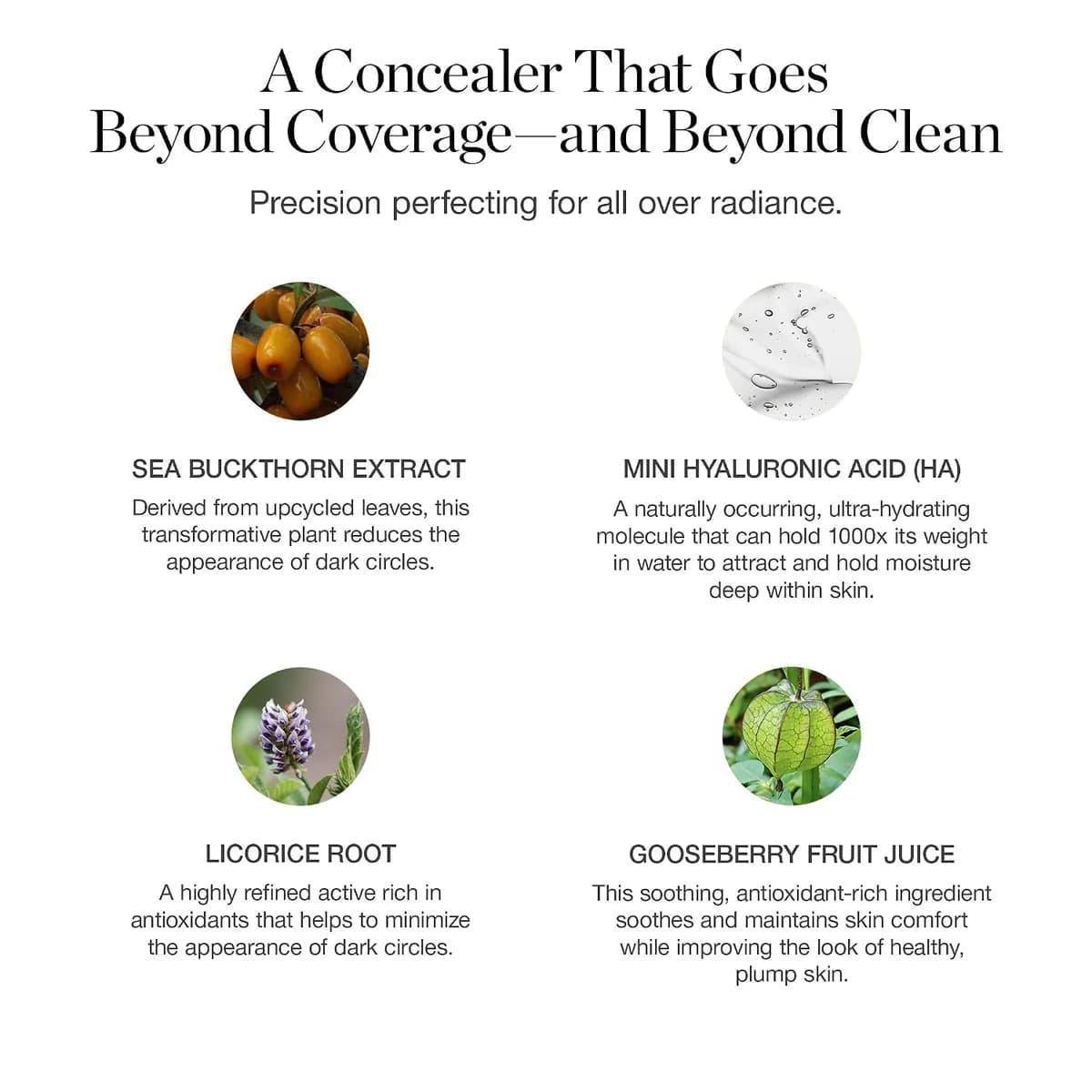 OGEE Complexion Perfecting Concealer