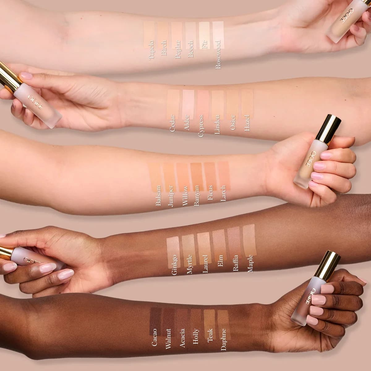 OGEE Complexion Perfecting Concealer