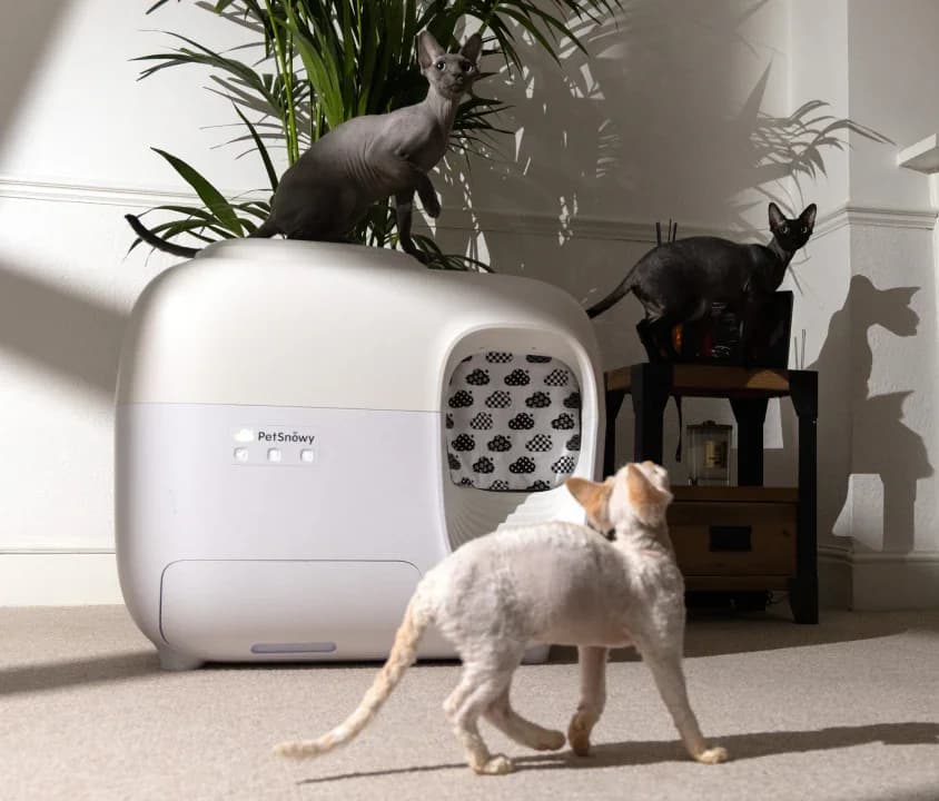 PetSnowy SNOW+ Automatic Self-Cleaning Litter Box