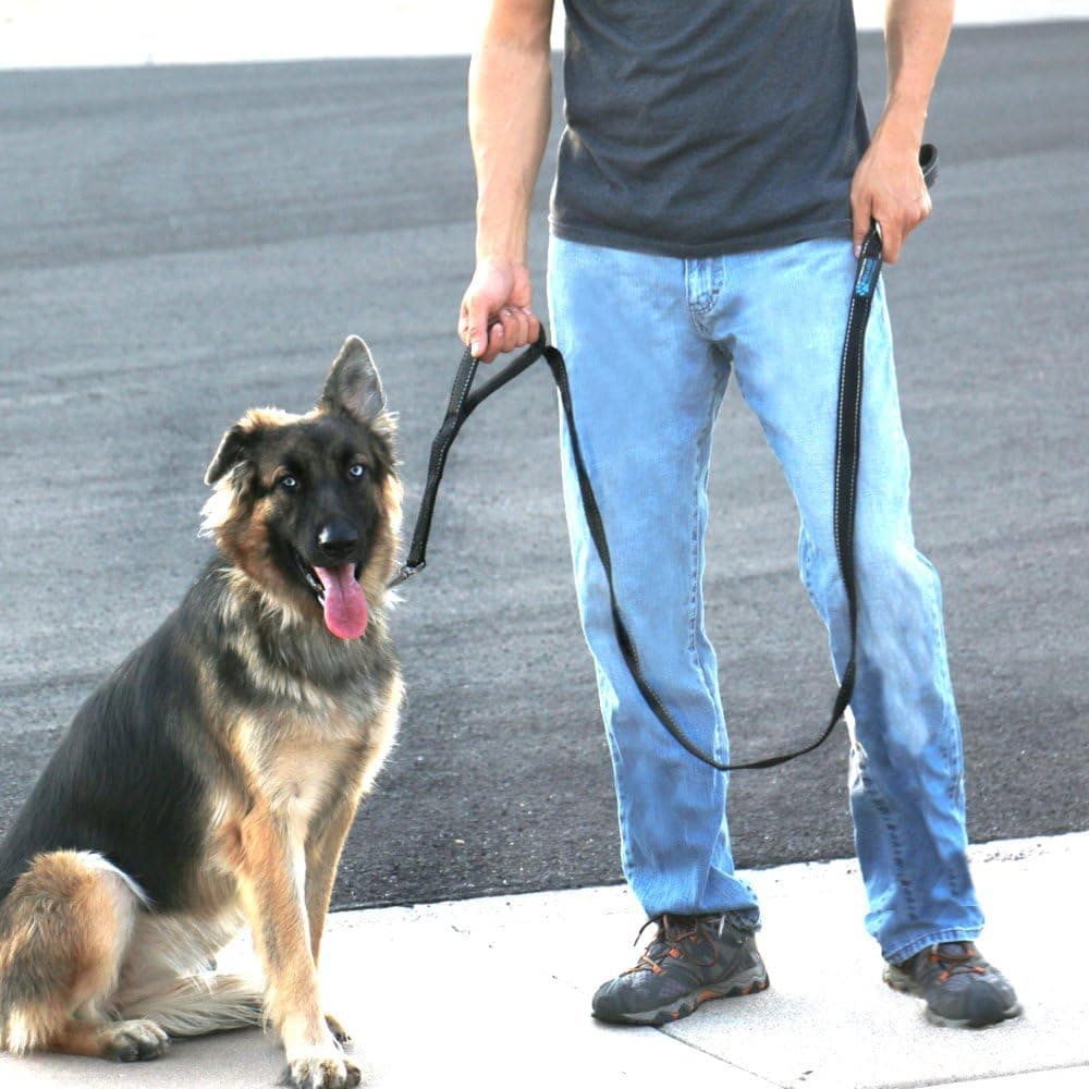 Max and Neo Double Handle Heavy Duty Reflective Leash
