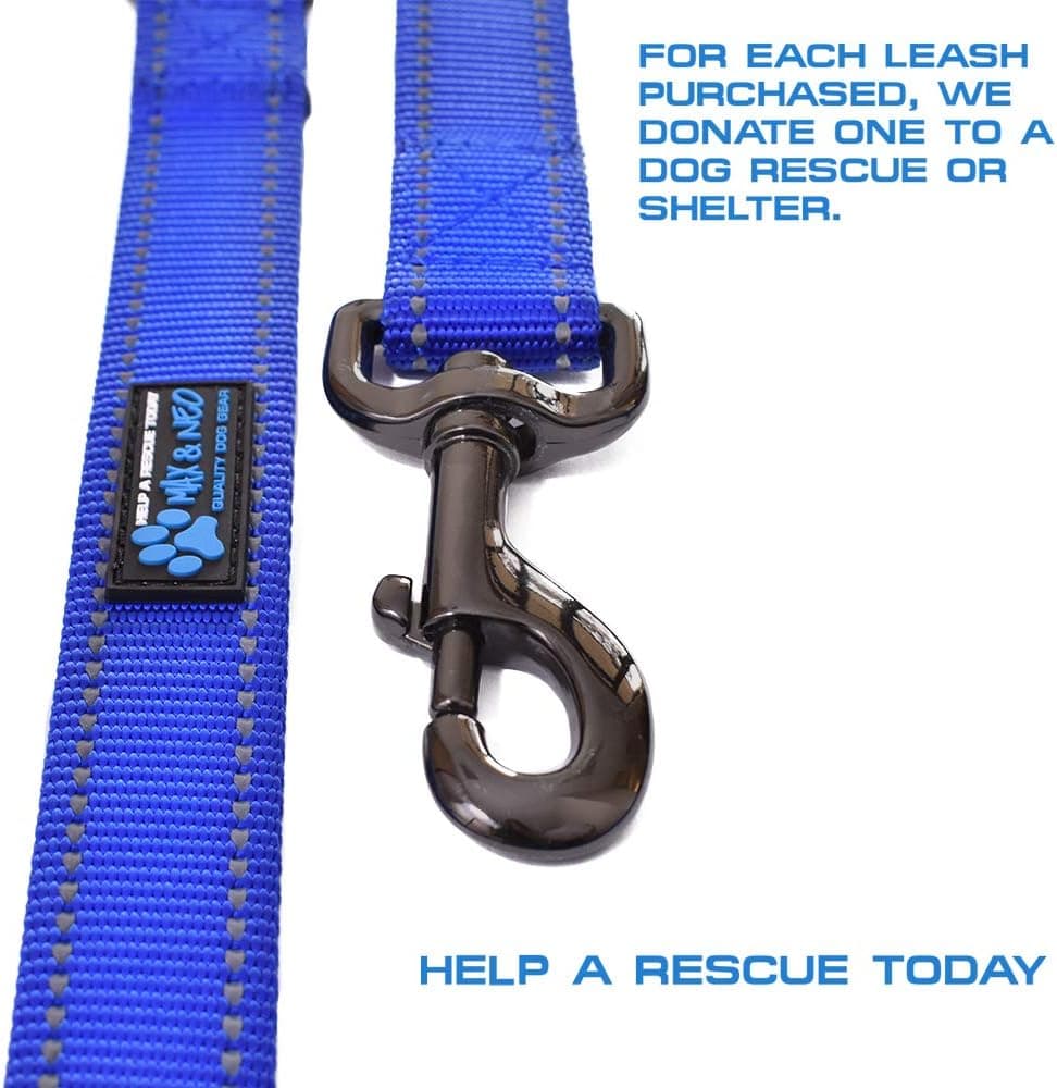 Max and Neo Double Handle Heavy Duty Reflective Leash