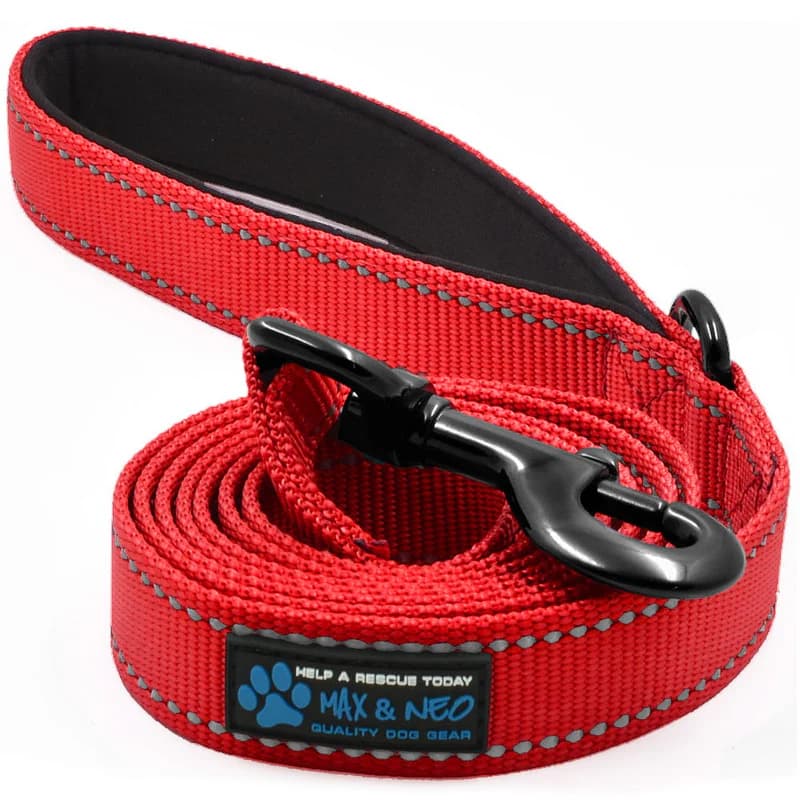 Max and Neo Double Handle Heavy Duty Reflective Leash
