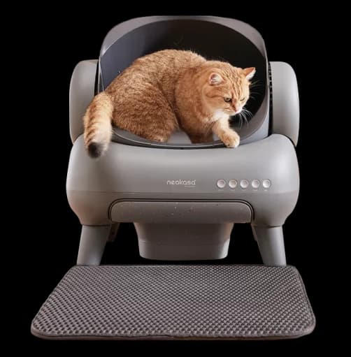 Neakasa M1 Open-Top Self-Cleaning Cat Litter Box