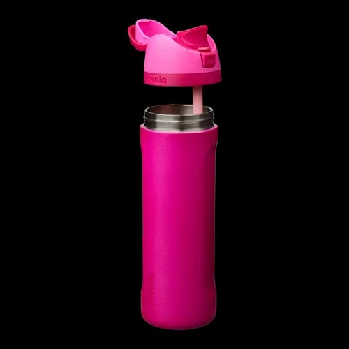 Owala FreeSip 24 oz Water Bottle