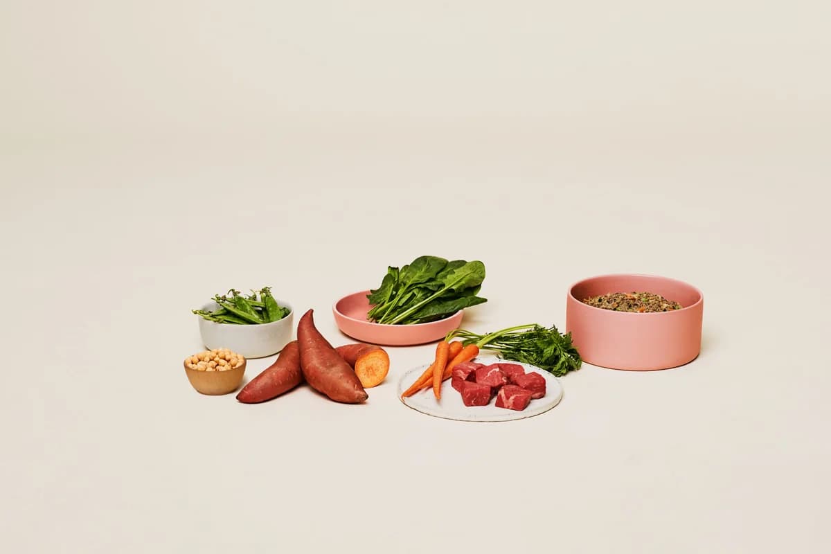 Ollie Fresh Beef Dog Food (with Sweet Potatoes)