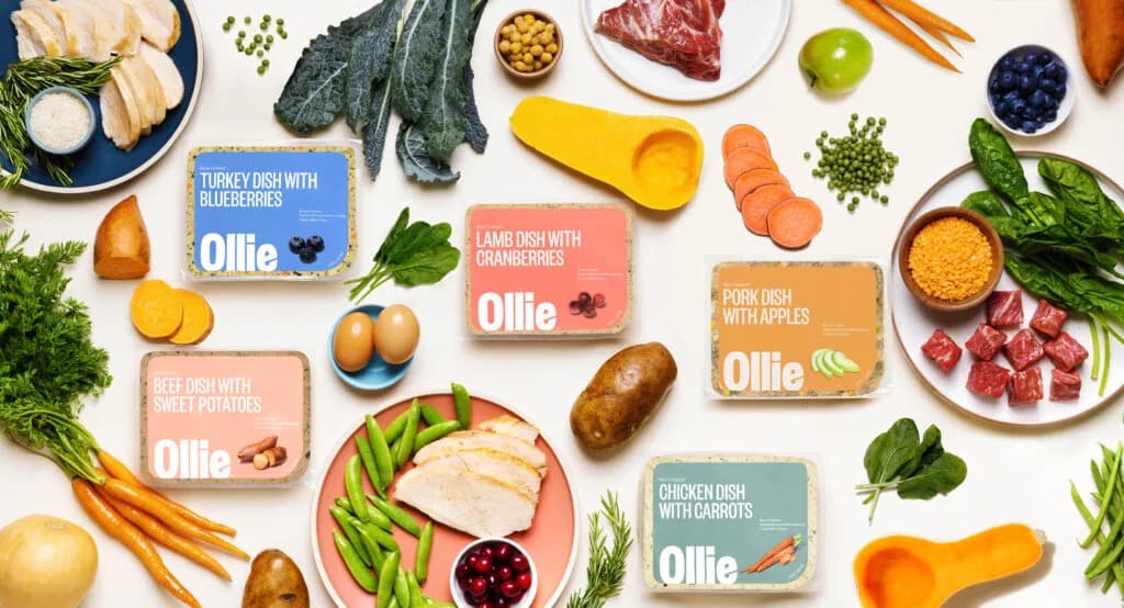 Ollie Fresh Beef Dog Food (with Sweet Potatoes)