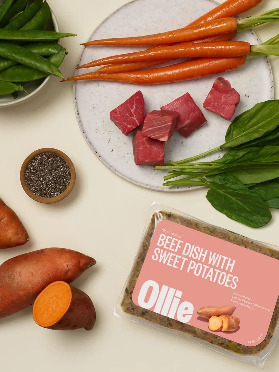 Ollie Fresh Beef Dog Food (with Sweet Potatoes)