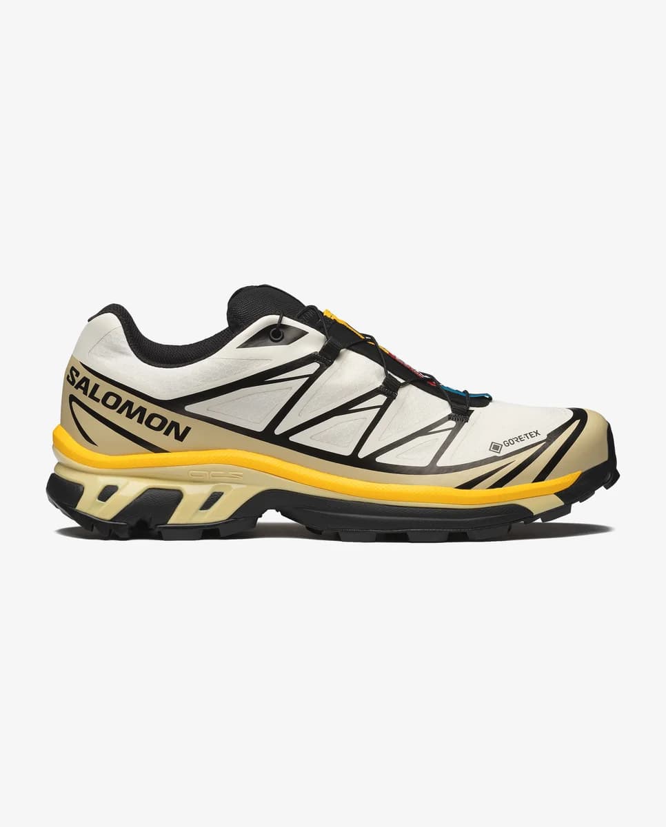 Salomon XT-6