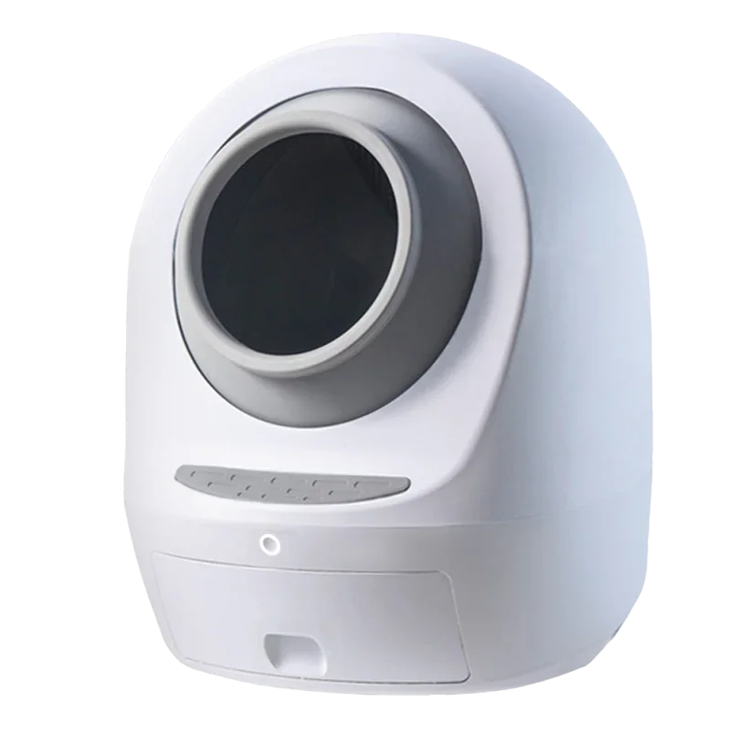 Large Product Image