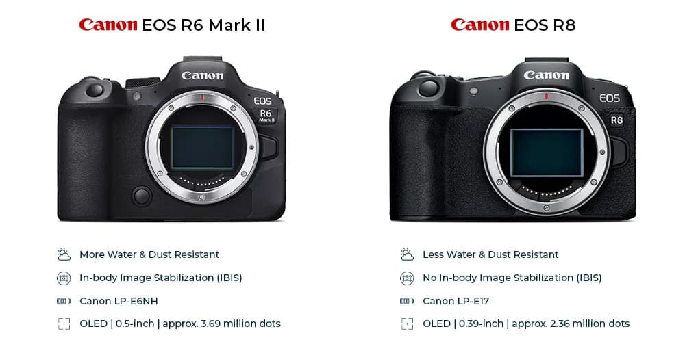 Canon EOS R6 Mark II