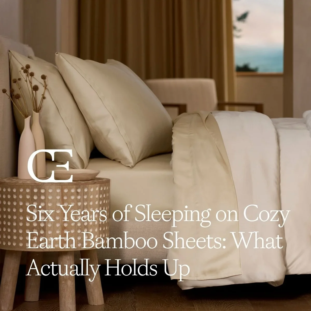 Cozy Earth Bamboo Sheet Set