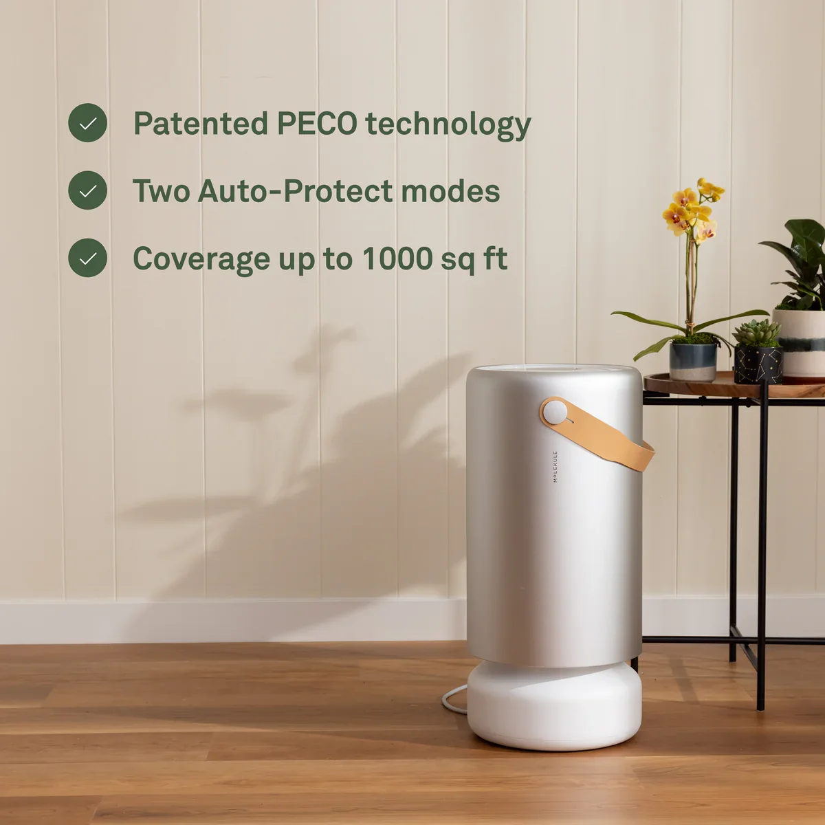 Molekule Air Pro Purifier